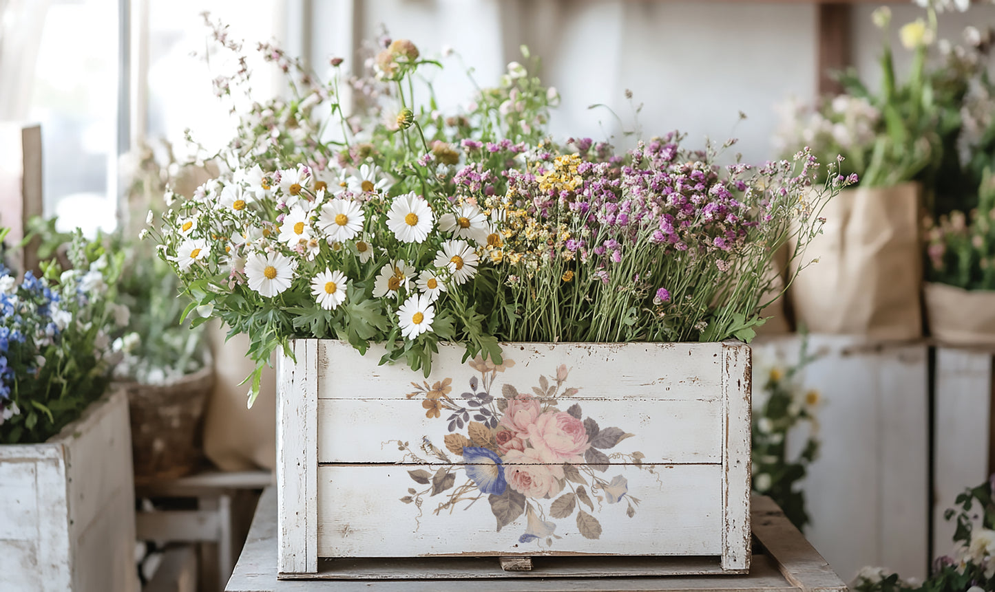 IOD -  Saint Ouen TRANSFER 8 x 12” PAD