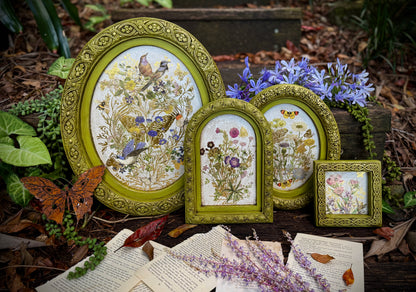 IOD -  Flora Greca TRANSFER 8 x 12” PAD