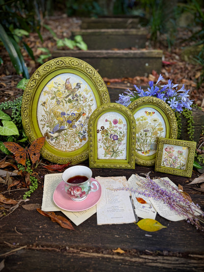 IOD -  Flora Greca TRANSFER 8 x 12” PAD