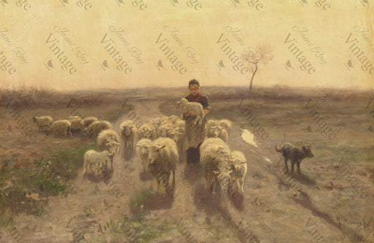 Sheep at Sunset JRV Medium Rice Paper