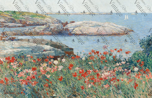 Poppies on the beach JRV Medium Rice Paper