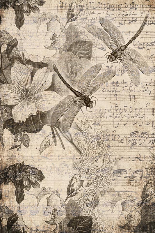 Musical Dragon flies Decoupage Paper