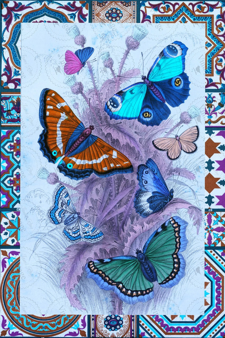 Papillon  Decoupage Paper