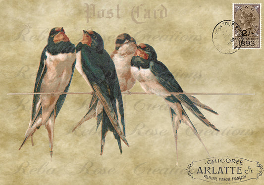 Swallow Postcard Rice Paper, A4 - Reba Rose Creations