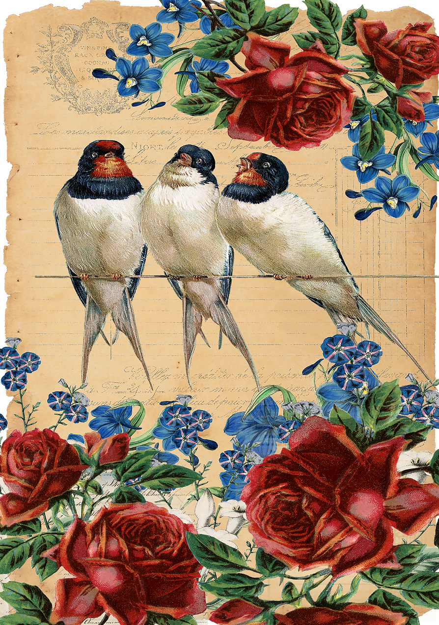Swallows Rice Paper, A4 - Reba Rose Creations