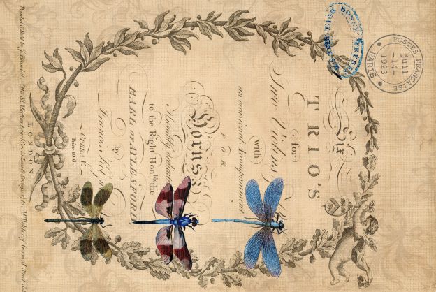 Dragonflies Decoupage Paper - Roycycled