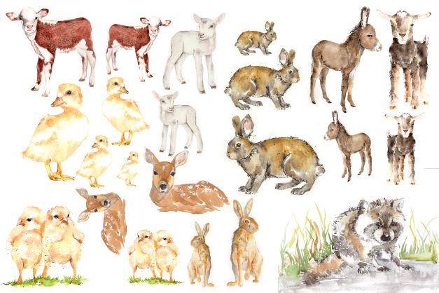 Baby Animals by Lexi Grenzer Decoupage Paper - Roycycled