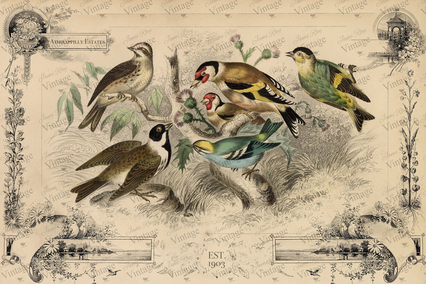 Cottage Birds JRV decoupage Paper