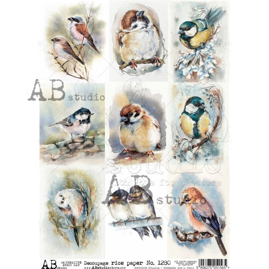 Water Color Birds - 9  A4 Rice Paper