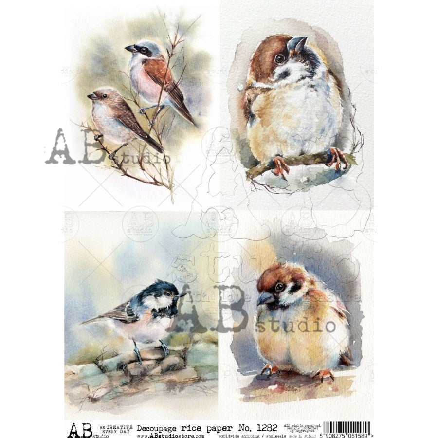 Water Color Birds - 4  A4 Rice Paper